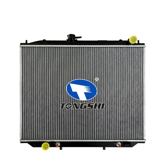 Car Radiator for Nissan Terrano 02 2.7L OEM 214507F002/214507F001