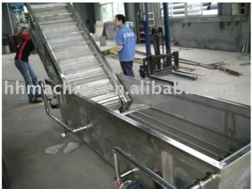 Fruit Washer