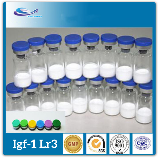0,1 mg de peptides LR3 IGF-1 pour la poudre de musculation