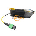12F MPO (F) -LC G657A2 LSZH สายแพทช์ไฟเบอร์