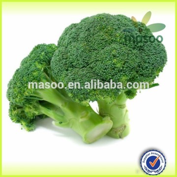 Agriculture organic frozen product, IQF, frozen vegetables & frozen broccoli