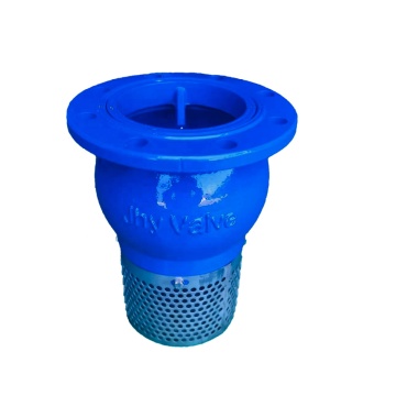 Top Domestic and International Bestselling Ductile Iron Filter Foot Valve