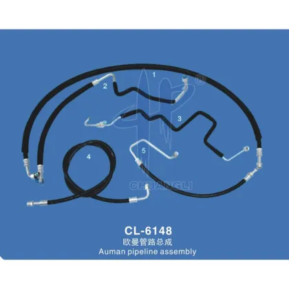Auman pipeline assembly