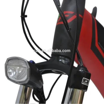 29"electric bicycle electric bicycle motor electric bicycle china with CE EN15194