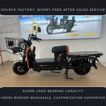 Scooter eléctrico de carga personalizado King Power de segunda generación
