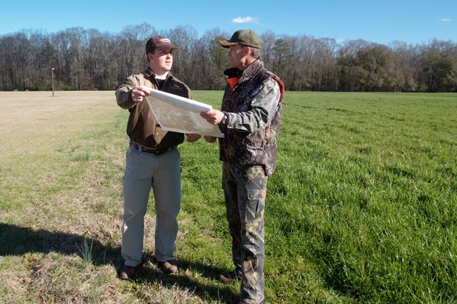 habitat-improvements-for-deer