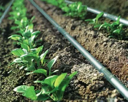 Inline Drip Irrigation Systems
