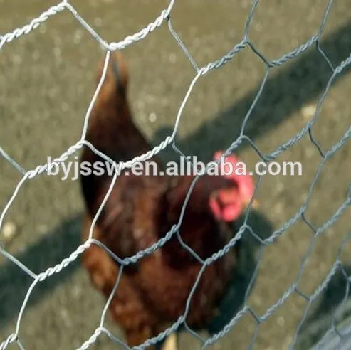 Galvanized Bird Cage Chicken Wire Mesh