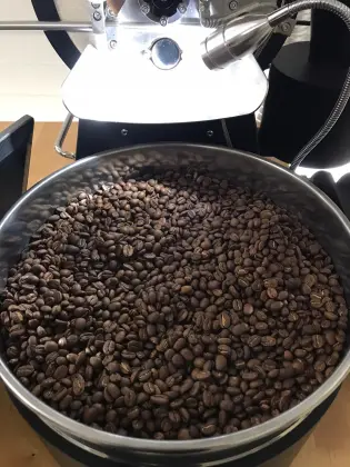 Heat Adjustable ADDKA Motor Coffee Roaster - Dongyi 500g