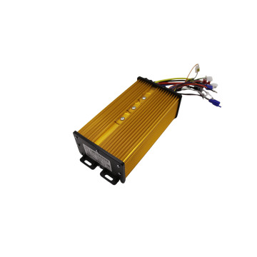 Custom India Urban Passenger E-Rickshaw Controller