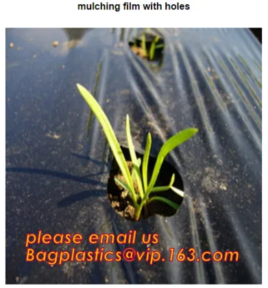 pe tube tomato film tomato pe tube perforated film pe tube perforated film