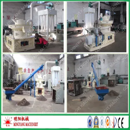 Eco-Friendly Ring Die Biomass Wood Pelletizer Equipment Machine Price