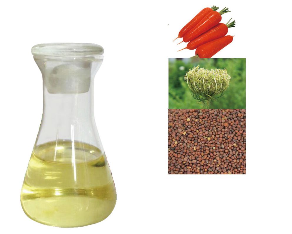 Health Care Organic 100% Carrot Seed Oil