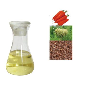 Health Care Organic 100% Carrot Seed Oil