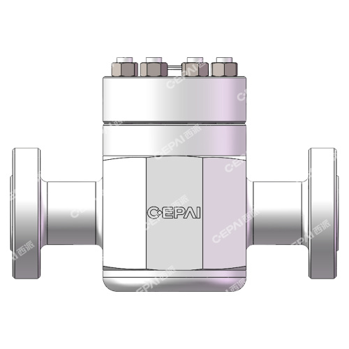 Lift Check Valve
