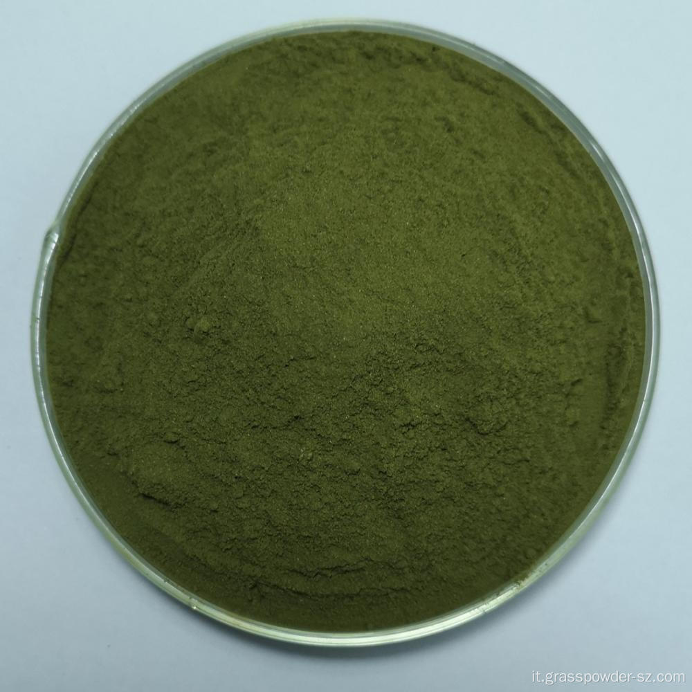 Polvere di piantine di alfalfa organica