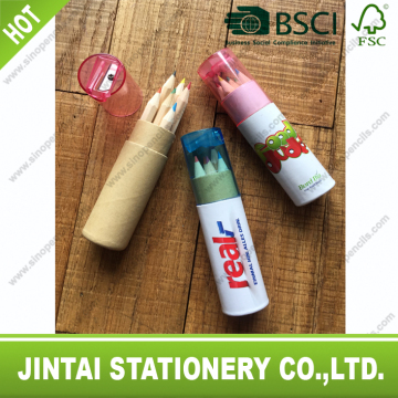 High quality wooden color pencils into tube