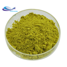 natural barley powder grass barley grass juice