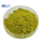 100% Natural High Quality Green Tea Powder Matcha