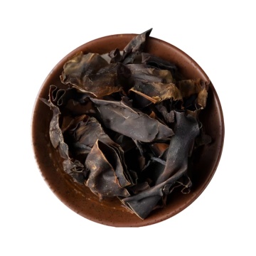 Kombu Herbal Treatment for Cough and Asthma