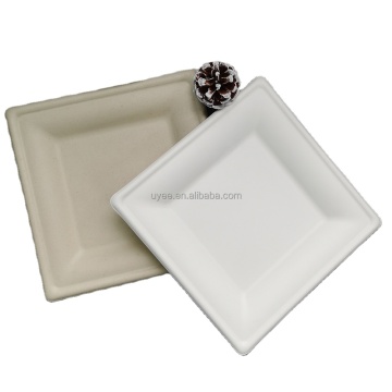 Eco Friendly Christmas Square Party 6/8/10inch لوحات