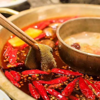 Tianchu 80g*2 Mandarin Duck Halal Hot Pot Base Sichuan Mala Spicy Soup Base