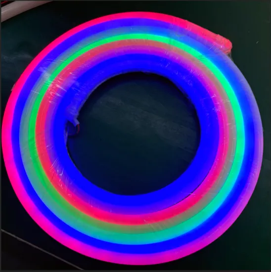 0817 Model Size LED Neon Signs Light DC24V/12V RGB for Club Christmas Decoration
