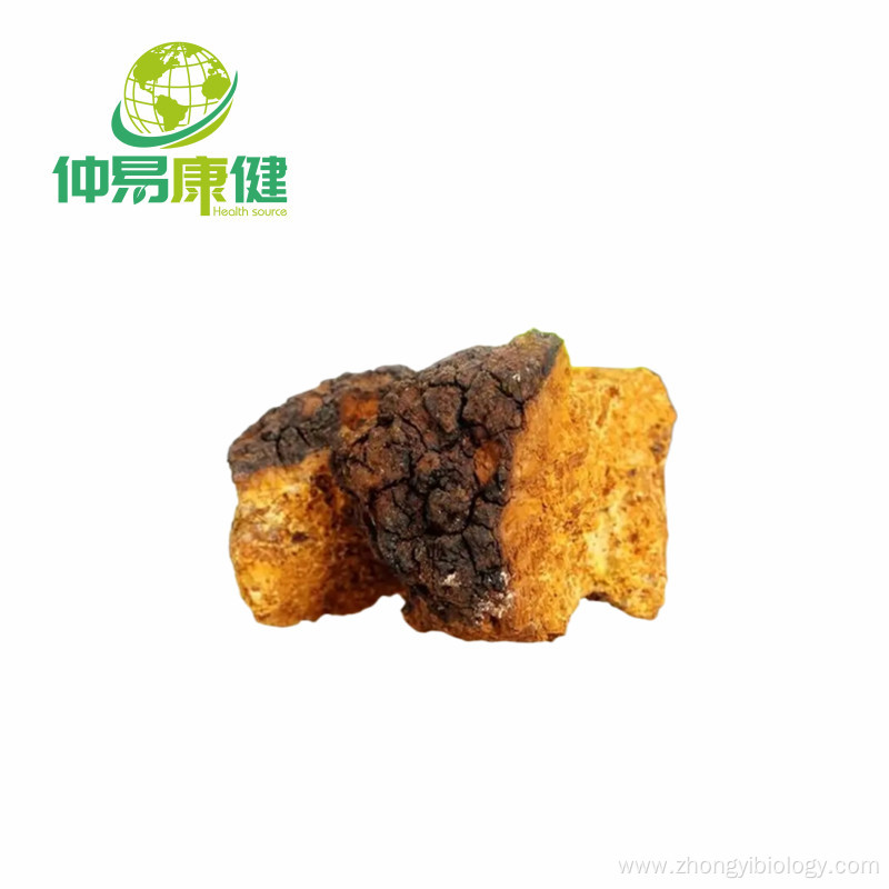 Chaga Mushroom Extract Powder 50%Polysaccharide