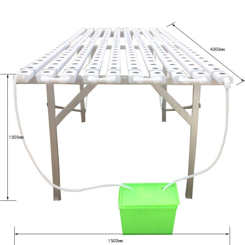 Greenhouse agrícola hidropônica plana hidropônica