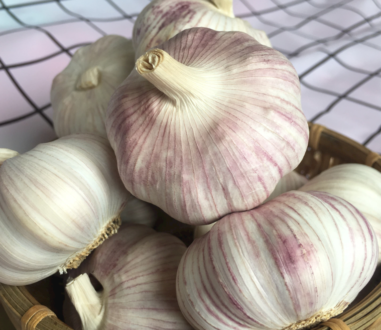 fresh garlic