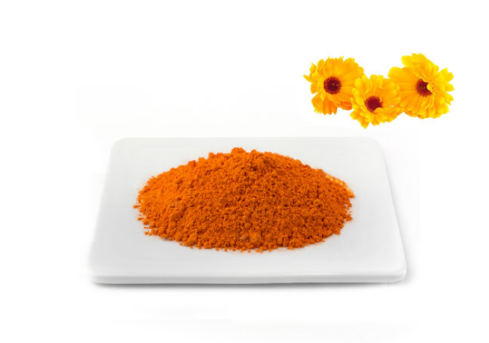 Marigold Flower Extract 99%