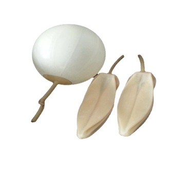 Laboratory Gas Sampling Bags - Nitrogen Liquefaction Rubber Bladders 2L 3L 5L