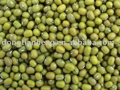 Green Mung Bean
