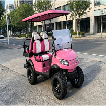 Unique Custom Car Paint Choices for Golf Carts
