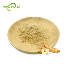 High-purity ginsenoside powder of scientific research grade
