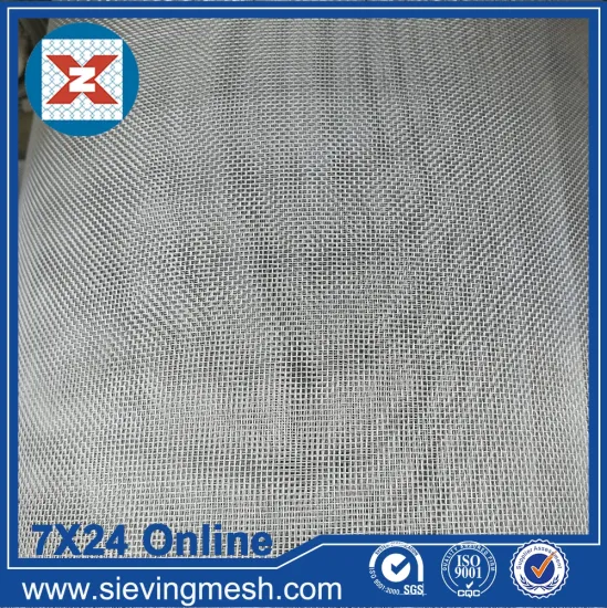 SS Plain Wire Cloth