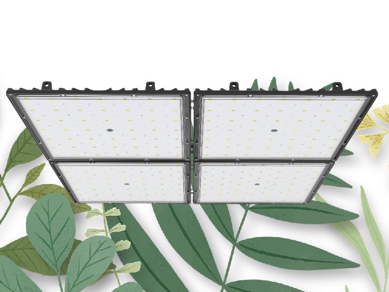 Full Spectrum Plant Grow Light for Flower