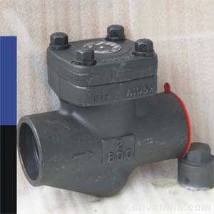 Female Thread and Socket Welded Check Valve