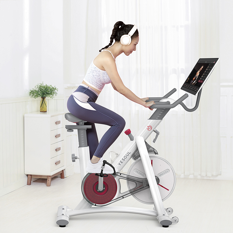 Yesoul Spinning Bike Indoor