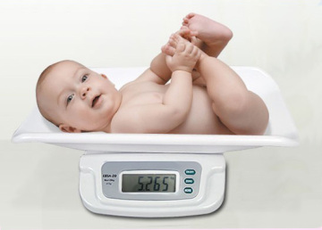 Baby Scale (EBSA)