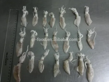 wild caught IQF north China baby squid