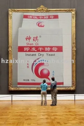 500g Baking yeast/Active dry instant yeast