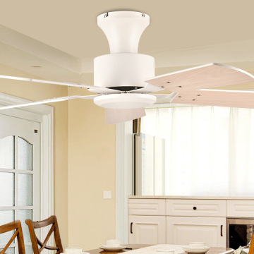 Ventilateurs de plafond intérieurs blancs LEDER