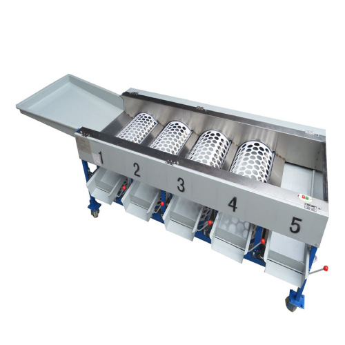 Citrus fruit sorting machine