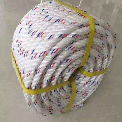 PP PE Qualified Fishing Nets and Ropes with Floats