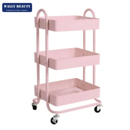 Modern Pink Beauty Salon Furniture Set - Bed and Equipment