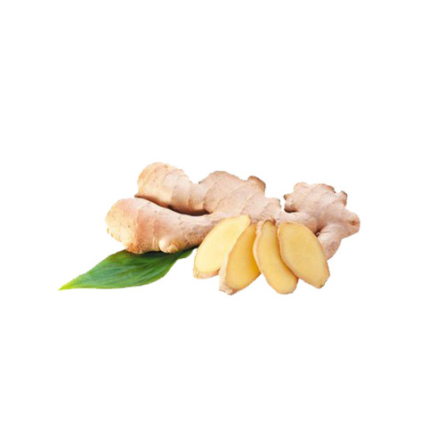 Ginger Powder Gingerols Ginger Extract Gingerols 5% Supplier