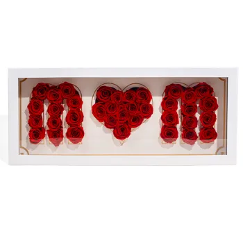 Wholesale Natural Mom Mother's Day Gifts: Red Gift Box Stabilized Infinity Roses for Christmas and Graduation