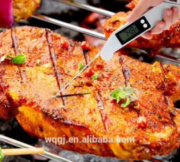 Hot Sale Mini Digital Selectable Thermometer Sensor Cooking Fordable Meat BBQ Thermometer