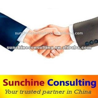 Business Consultancy Services in China